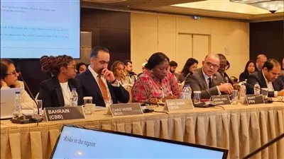 رئيس الرقابة المالية يترأس اجتماع لجنة الأسواق المالية النامية والناشئة «GEMC» باليونان