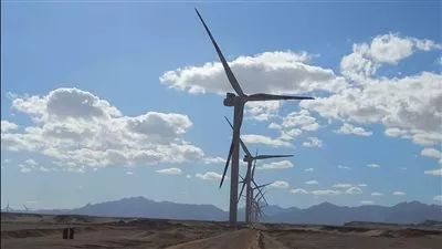 «الكهرباء»: افتتاح محطة طاقة رياح بقدرة 252 ميجاوات بخليج السويس 