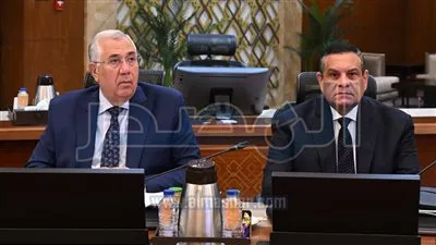 مجلس الوزراء يوافق على إنشاء منطقة حرة خاصة لشركة MAFI لتصنيع الحاصلات الزراعية