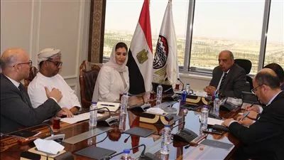 مصر تبحث مع عمان التعاون في الصناعات الكيماوية والمعدنية والأدوية