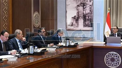  «الكهرباء»: تركيب 213 ألف عداد ذكي و1300 مُجمع بيانات في 9 مدن