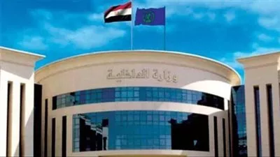 «الداخلية» تقرر رد الجنسية المصرية لـ 42 مواطن