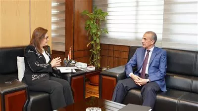 وزيرة التخطيط تستعرض خطوات إعداد الاستراتيجية الوطنية لتطوير النظام الإحصائي في مصر