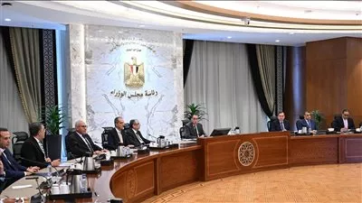 مصر تعتزم التعاقد مع استشاري عالمي لوضع تصور لتوطين صناعة الرقائق الإلكترونية 