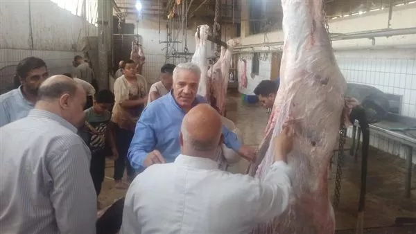 Eid al-Adha: 7,681 animals slaughtered at government slaughterhouses