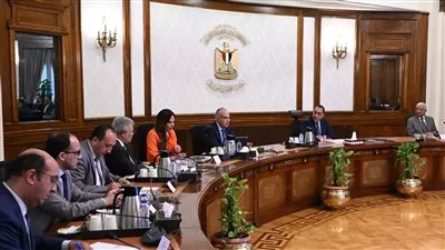 رئيس الوزراء يتابع جهود توفير مياه الشرب والري بمحافظة السويس 