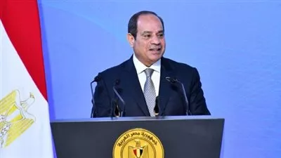 الرئيس السيسي يوجه الحكومة بإنهاء أزمة انقطاع الكهرباء في أقرب وقت