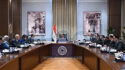 الحكومة تناقش وضع حلول جذرية للقضاء على أزمة إنقطاع الكهرباء 