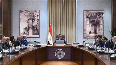 الحكومة تبحث سبل إحكام ضبط عمل شركات النقل التشاركي في مصر
