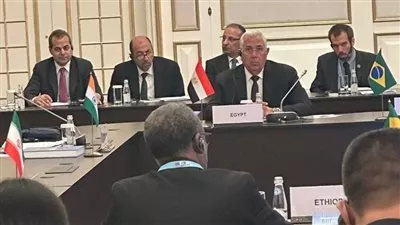 مصر تدعم مقترح إنشاء بورصة لتجارة الحبوب بدول تجمع البريكس