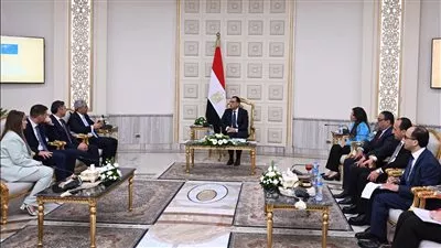 رئيس الوزراء يبحث مع «شنايدر إليكتريك» توطين صناعة مكونات قطاع الكهرباء