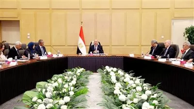 كامل الوزير: التصديق الفوري لإعادة تشغيل ومساعدة المصانع المتعثرة