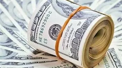 سعر الدولار في البنوك المصرية اليوم الأحد 14 يوليو 2024  