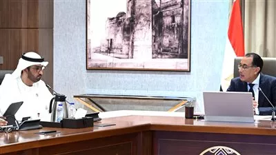 مصر تتعاون مع الإمارات لإضافة 4 جيجاوات من الطاقة المتجددة لشبكة الكهرباء 