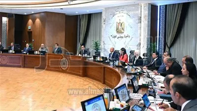 الحكومة توافق على عرض «اميا باور» الإماراتية لتنفيذ مشروعات طاقة متجددة