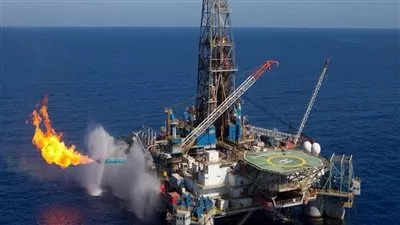 وزارة البترول: نظم ادارة شركات القطاع تعمل بكفاءة 