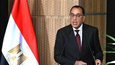 الحكومة: توفير 4 جيجا إضافية من الطاقة الجديدة لحل أزمة الكهرباء