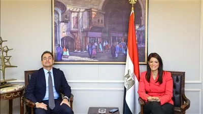 «المشاط» تؤكد أهمية تفعيل اللجنة المصرية - الفرنسية لتوطين الصناعة وزيادة الصادرات