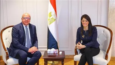 «المشاط» تبحث تعزيز دور بنك الاستثمار القومي في دعم جهود الدولة التنموية