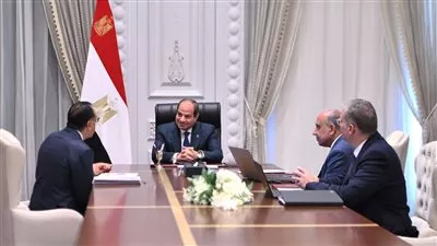 السيسي يوجه بتكثيف العمل بمشروعات الطاقة المتجددة لإضافة قدرات جديدة للشبكة الكهربائية