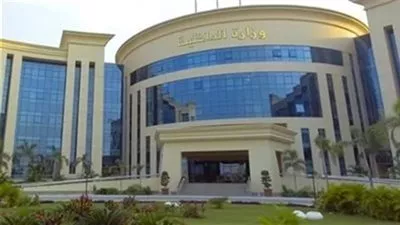 «الداخلية» تقرر السماح لـ63 مصريا بالحصول على جنسيات أجنبية