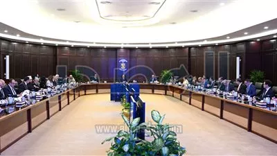 مجلس الوزراء يستعرض الموقف التنفيذي لدراسات مشروع الربط الكهربائي مع اليونان