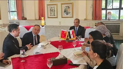وزير الاتصالات يبحث مع شركات صينية التعاون في مجال تصميم وصناعة الإلكترونيات