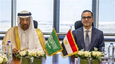مصر والسعودية تبحثان سبل تطوير التعاون الاستثماري وتحقيق التكامل التجاري