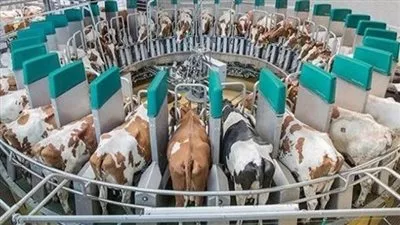 «الزراعة» تصدر 1052 ترخيصًا جديدًا خلال يوليو الماضي