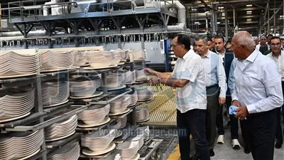 بمكون محلي 85%.. مليار جنيه صادرات المصرية الألمانية لصناعة البورسلين سنويًا