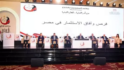 وزير الخارجية: رقمنة الخدمات القنصلية للتيسير على المصريين بالخارج