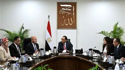 الحكومة تكشف ملامح الخطة العاجلة للنهوض بالصناعة المصرية