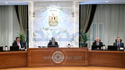 إنشاء وتشكيل المجلس الوطني لتوطين تكنولوجيا تصنيع الرقائق الإلكترونية والخلايا الشمسية