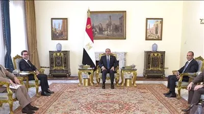 الرئيس السيسي يؤكد ضرورة التوصل لاتفاق لوقف إطلاق النار في غزة