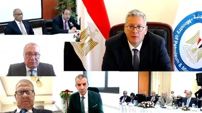 «موبكو» توفر 30% من أسمدة اليوريا و60% من الأمونيا بالسوق المصرية