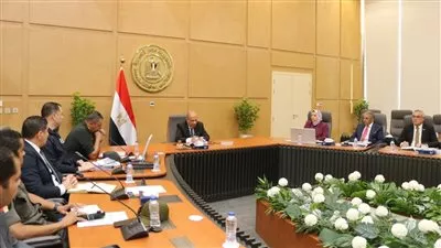 وزير الكهرباء يوجه بتكثيف العمل لإنهاء مشروع الربط المصري- السعودي الصيف المقبل