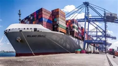 ميناء دمياط: تداول مليوني حاوية خلال العام المالي «2023-2024»