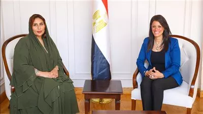 «المشاط»: حريصون على تهيئة البيئة المناسبة لتوسيع نطاق الاستثمارات الإماراتية في مصر