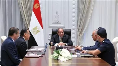 الرئيس السيسي يوجه باستخدام أحدث التقنيات لتعظيم إنتاجية القطاع الزراعي 