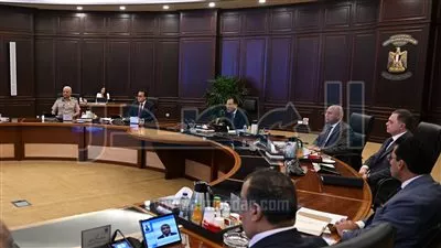 الحكومة توافق على مشروع «مصدر» الإماراتية لإضافة 1200 ميجاوات من الطاقة الشمسية