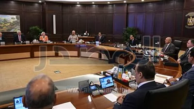 مجلس الوزراء يوافق على تنفيذ مشروعات «إمياباور» للطاقة المتجددة في مصر