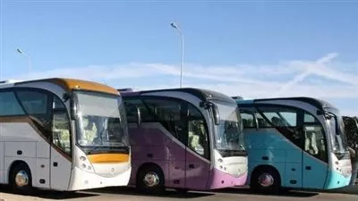 فحص 14 ألف مركبة سياحية في 6 محافظات حتى نهاية أغسطس