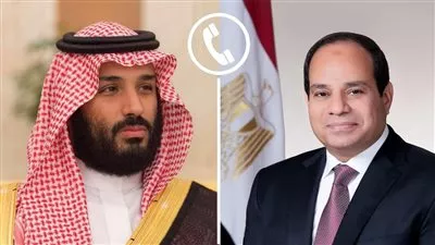 الرئيس السيسي وولي العهد السعودي يبحثان الأوضاع الإقليمية وتعزيز العمل العربي المشترك