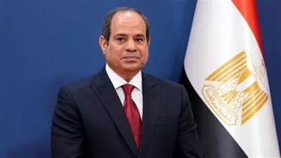 السيسي: مصر وتركيا تطالبان بالوقف الفوري لإطلاق النار في غزة