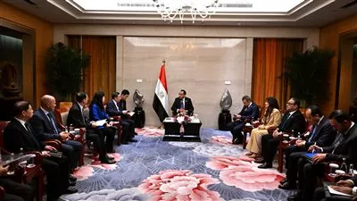 مصر تبحث مع «تشاينا إنرجي» الإسراع في توطين الصناعات المرتبطة بالطاقة المتجددة