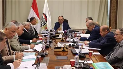 توجيه وزاري بتوسيع الشراكة الاستثمارية مع القطاع الخاص لاستغلال طاقات «القابضة الكيماوية»