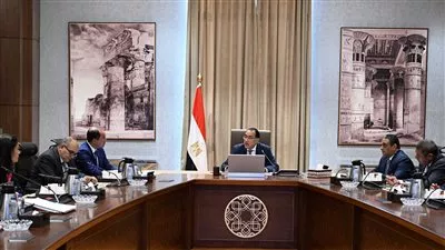 رئيس الوزراء يتابع إجراءات تفعيل وكالة ضمان الصادرات والاستثمار في افريقيا