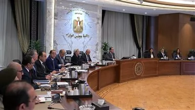 «مدبولي»: الحكومة عازمة على توفير كل المقومات لدعم نمو القطاع الصناعي