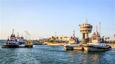 تداول 29 سفينة حاويات وبضائع عامة بميناء دمياط