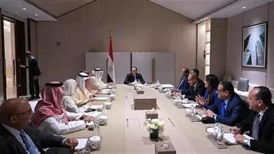 «مدبولي»: مصر والسعودية تجمعهما شراكة استثمارية تُسهم في تحقيق ربحية قوية للبلدين